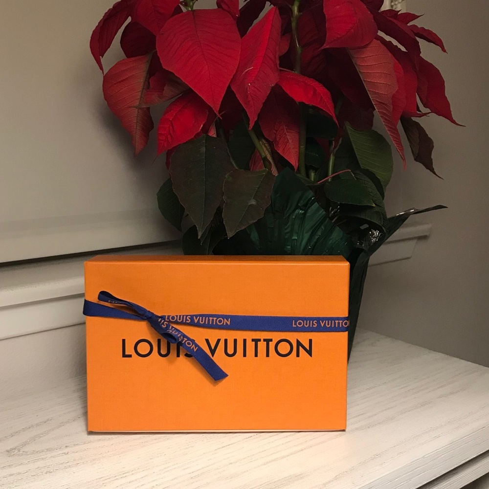 Louis Vuitton orange box handbag 8.25”x5.5”x1.75”